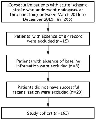 Association of Blood Pressure Within 6 h After Endovascular Thrombectomy and Functional Outcomes in Ischemic Stroke Patients With Successful Recanalization